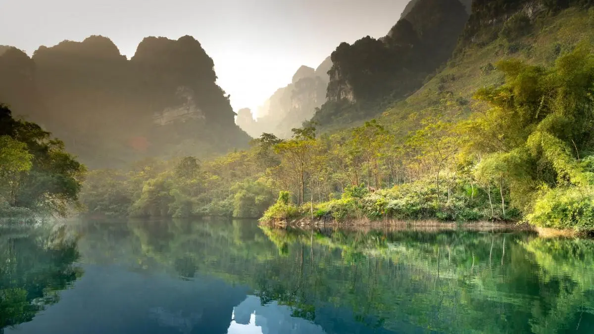 高标准环保高效